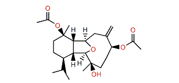 Hirsutalin O